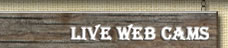 Live Shelter Cove Web Cams